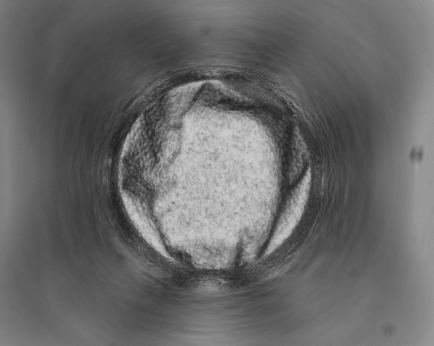 X0000095510263200801111419