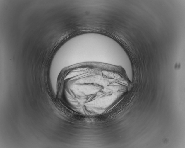 X0000095510264200801111419
