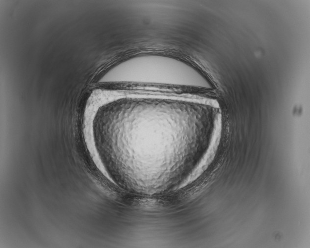 X0000095510265200801111419