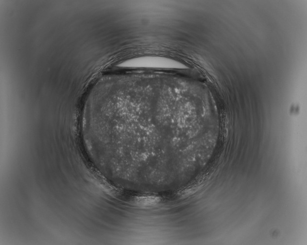 X0000095510266200801111419