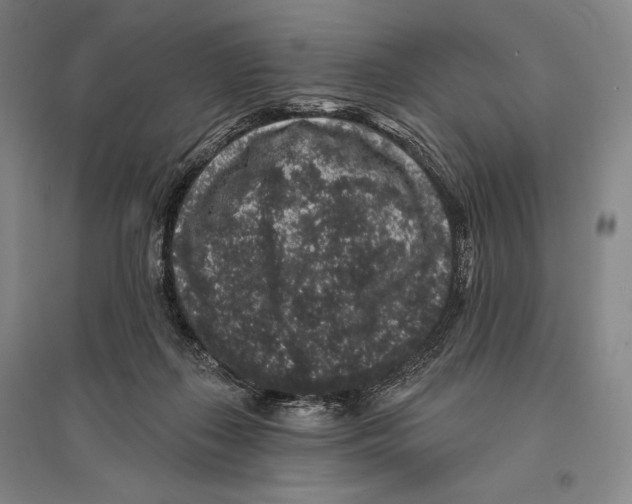 X0000095510267200801111420