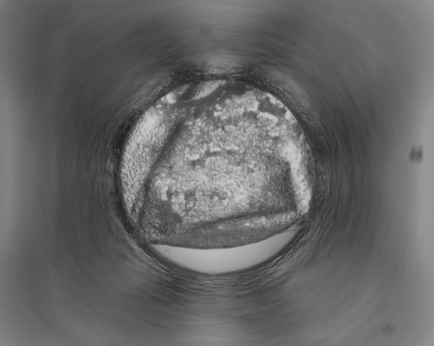 X0000095510269200801111420