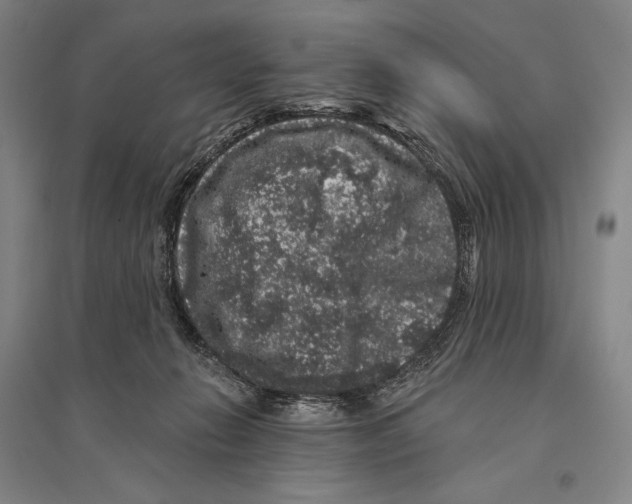 X0000095510270200801111420