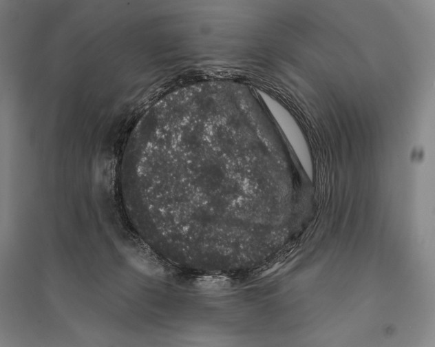 X0000095510271200801111420