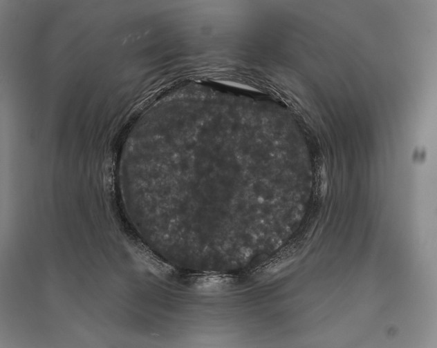 X0000095510274200801111420