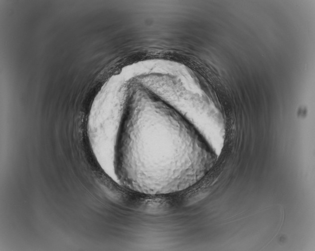X0000095510275200801111420