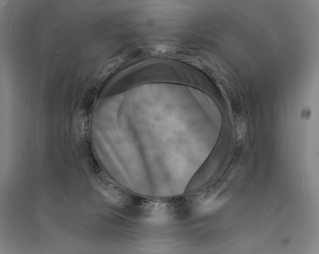 X0000095510276200801111420