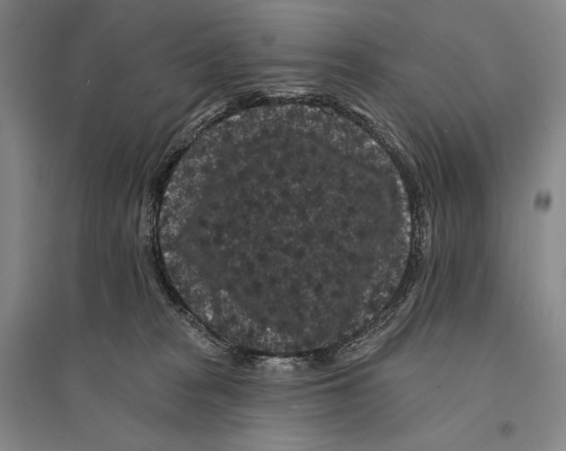 X0000095510277200801111420