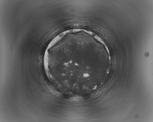 X0000095510278200801111420