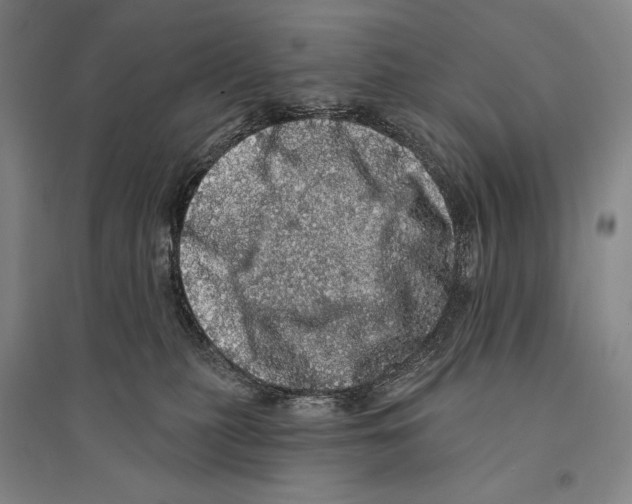 X0000095510279200801111420