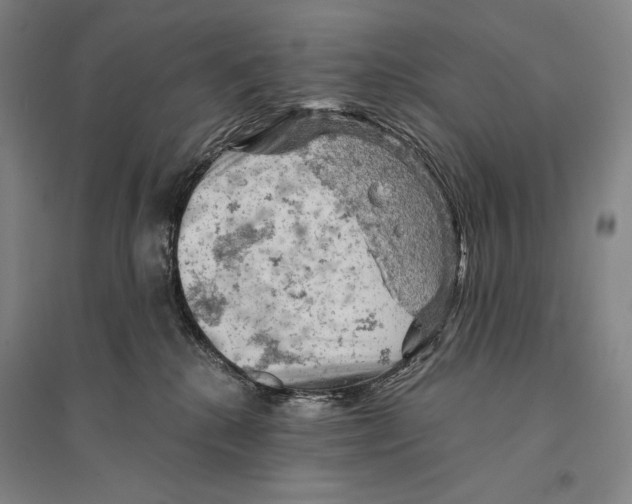X0000095510280200801111420