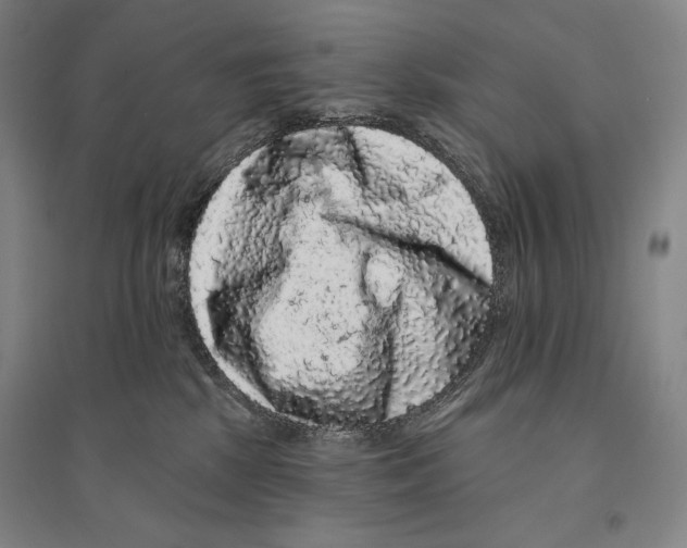 X0000095510281200801111420