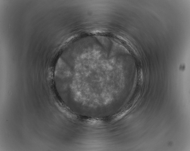 X0000095510284200801111420
