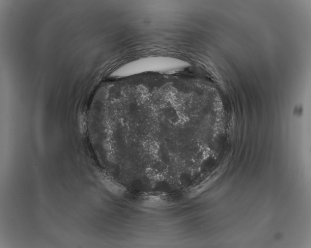 X0000095510285200801111420