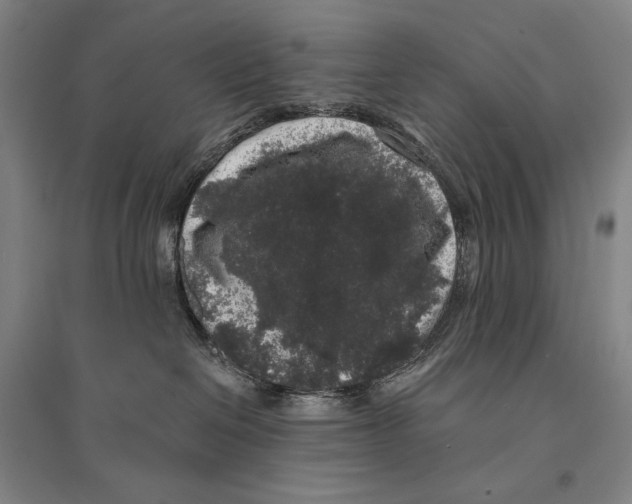 X0000095510286200801111420