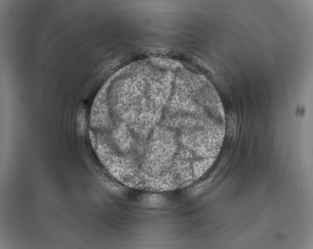X0000095510287200801111420