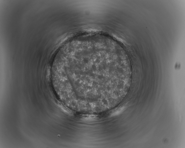 X0000095510288200801111420