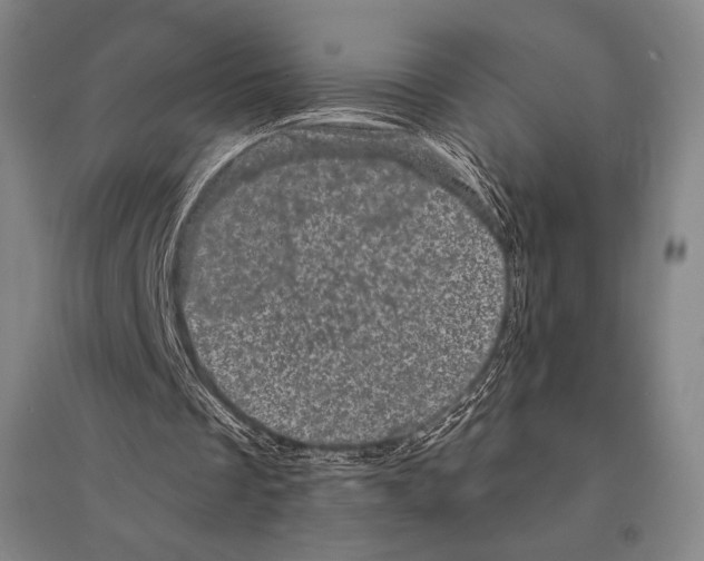 X0000095510289200801111419
