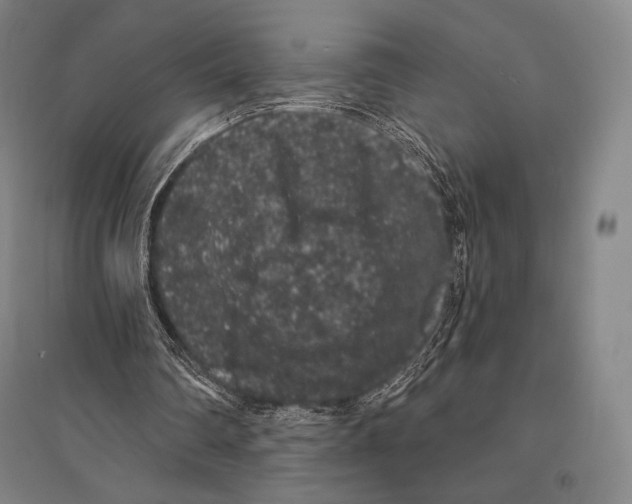 X0000095510290200801111419