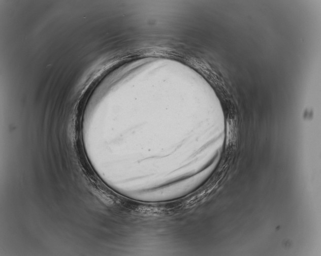 X0000095510291200801111419