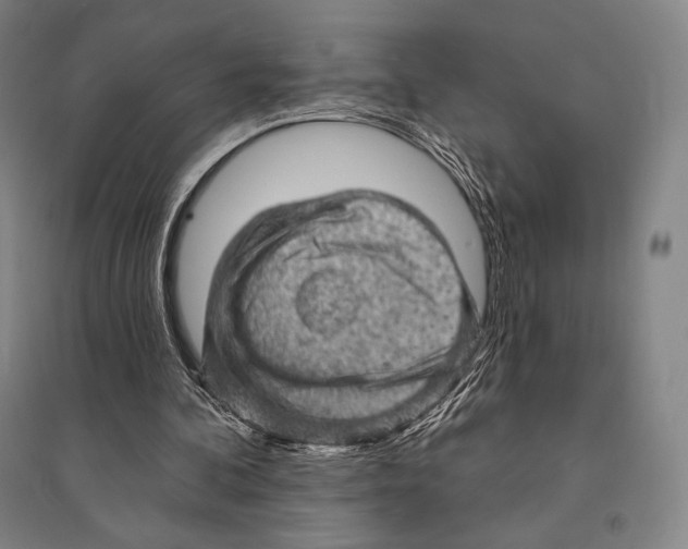 X0000095510292200801111419