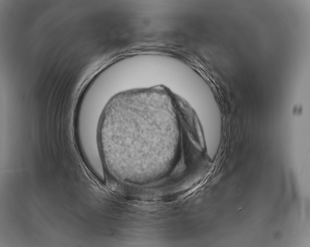 X0000095510293200801111419