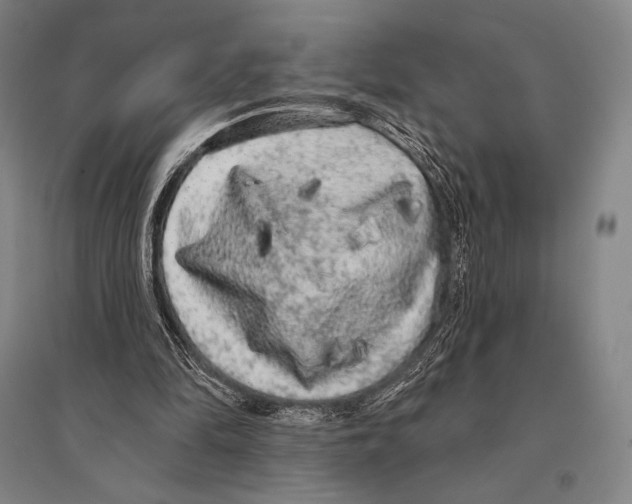 X0000095510294200801111419
