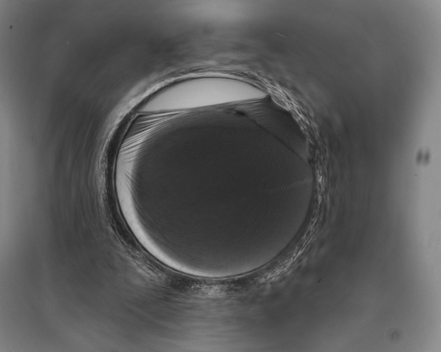 X0000095510295200801111419
