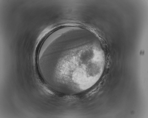 X0000095510296200801111419