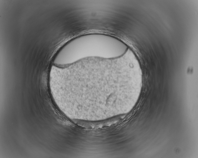 X0000095510297200801111419