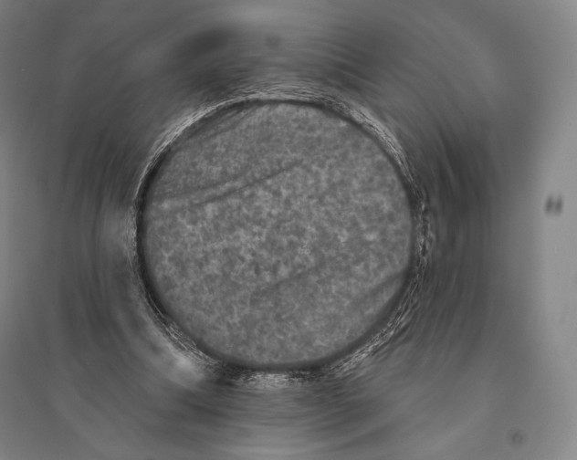 X0000095510298200801111419