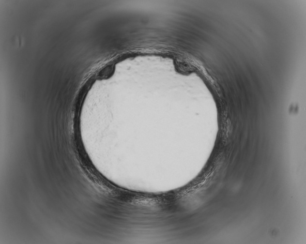 X0000095510299200801111419