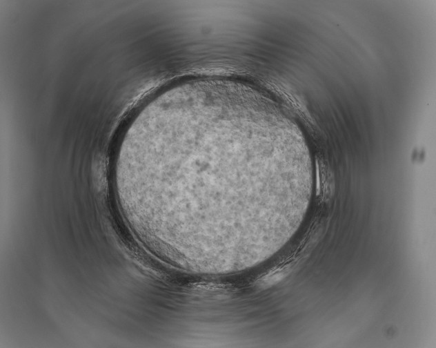 X0000095510300200801111419