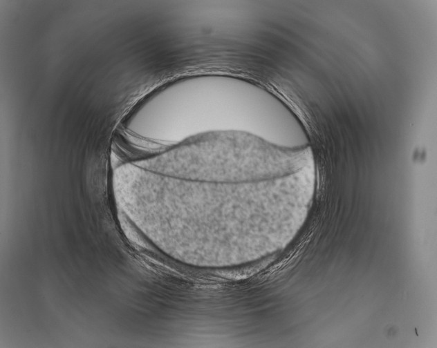 X0000095510301200801111419