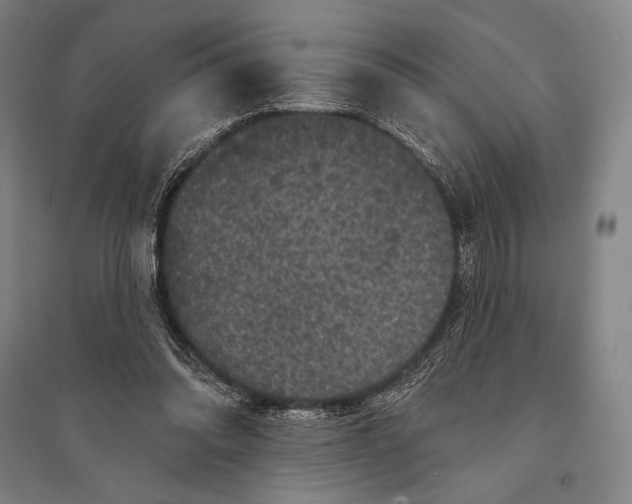 X0000095510302200801111419