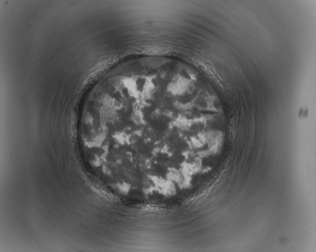 X0000095510303200801111419