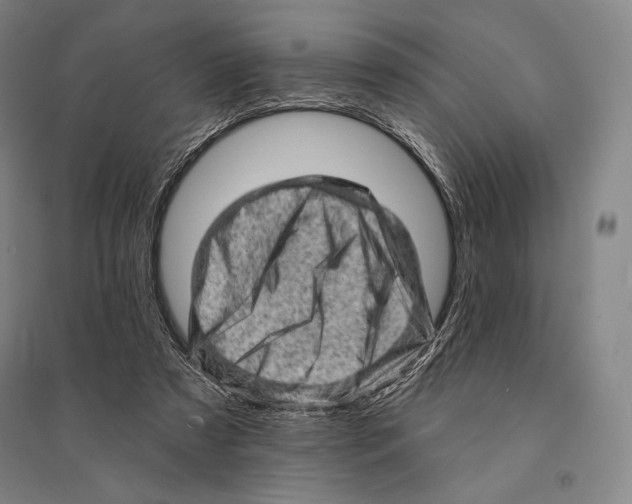 X0000095510305200801111419