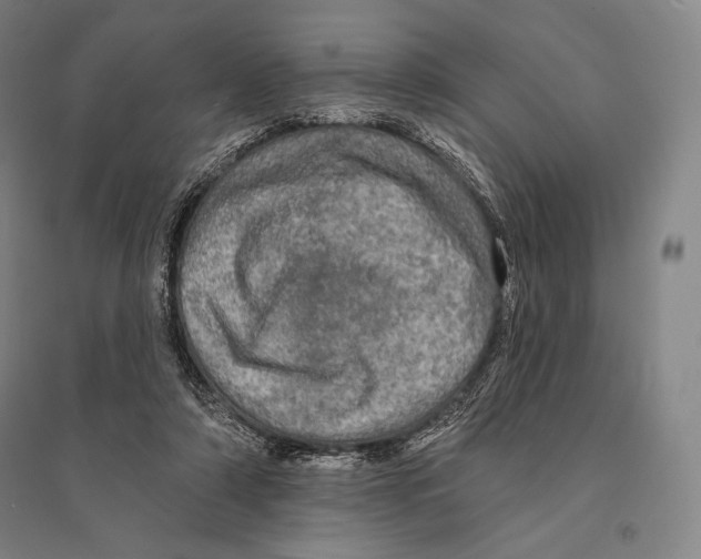 X0000095510306200801111419