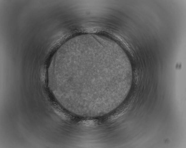X0000095510307200801111419