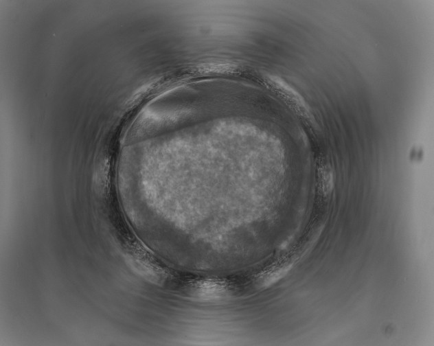 X0000095510308200801111419