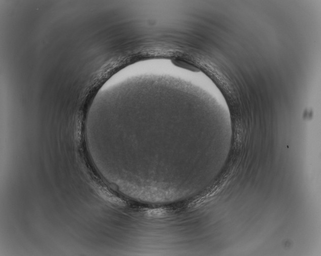 X0000095510309200801111419