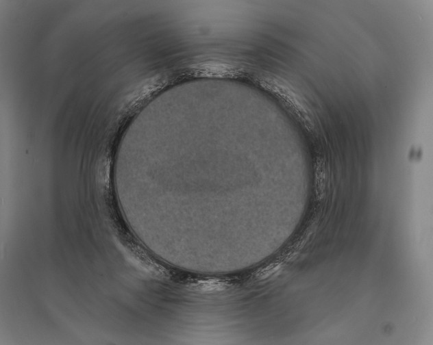 X0000095510310200801111419