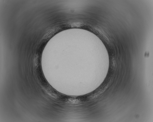 X0000095510311200801111419