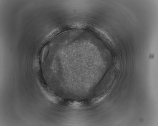 X0000095510312200801111419
