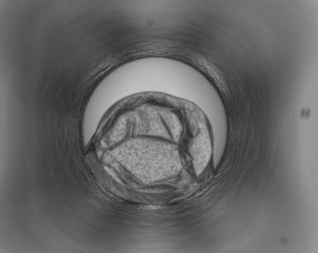 X0000095510313200801111419
