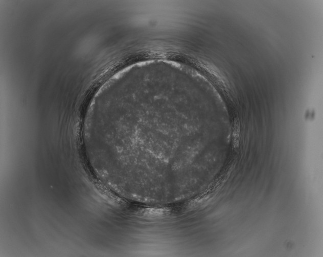 X0000095510314200801111419
