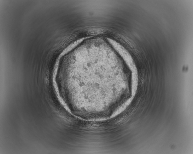 X0000095510315200801111419
