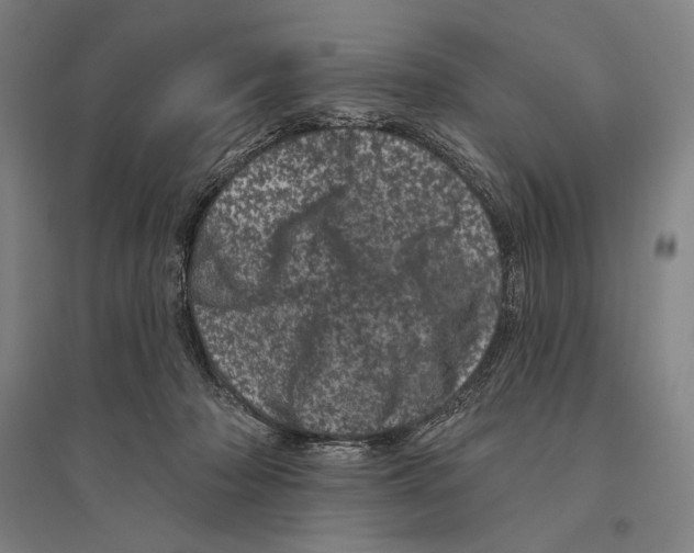 X0000095510318200801111419