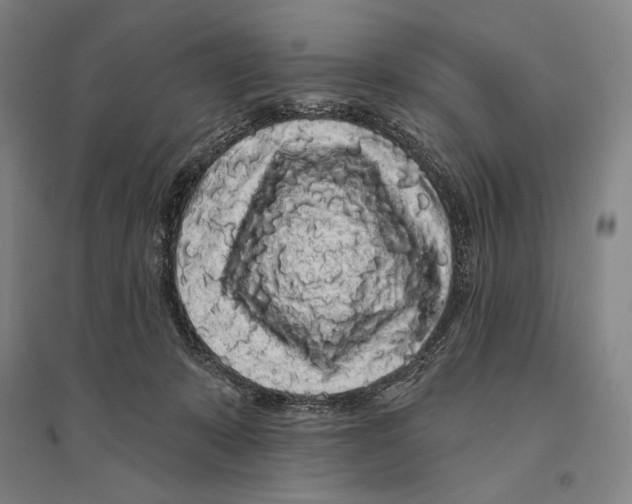 X0000095510319200801111419