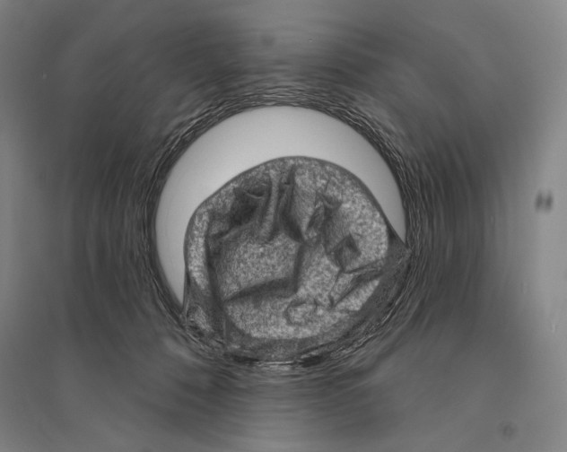 X0000095510320200801111419